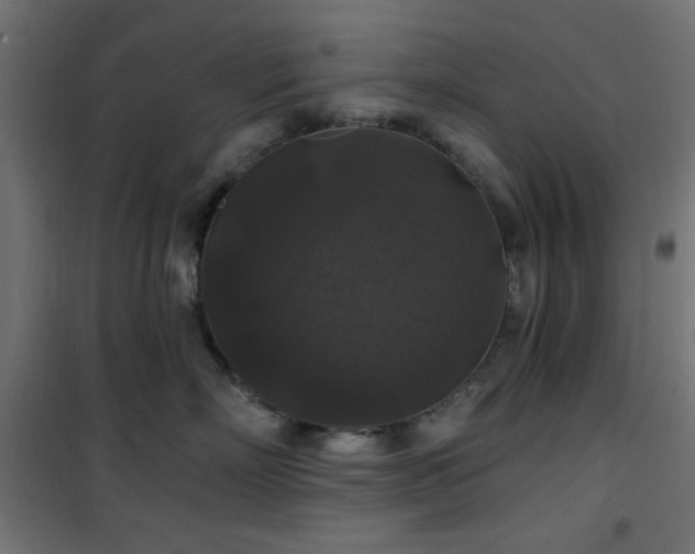 X0000101450718200807071406