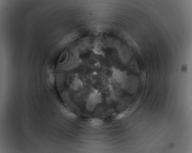 X0000101450719200807071406