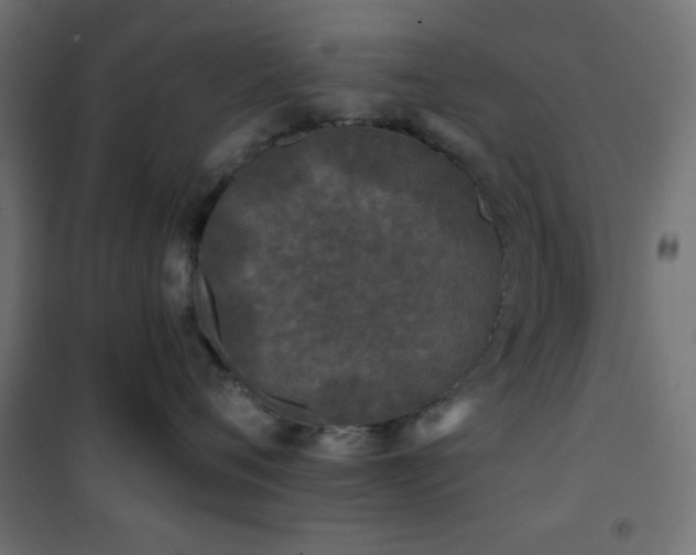 X0000101450720200807071406