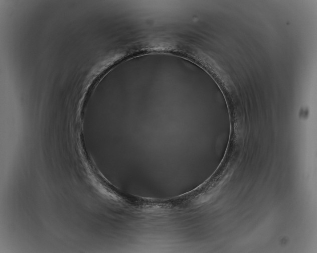 X0000101450721200807071405