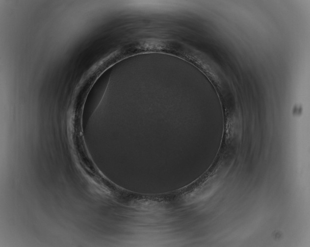 X0000101450722200807071405