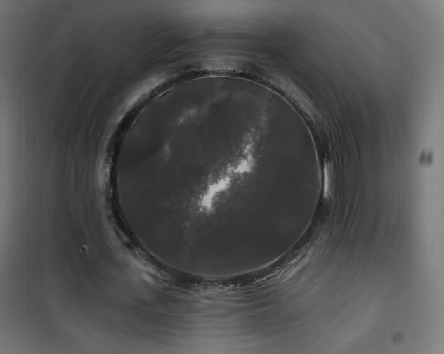 X0000101450723200807071405