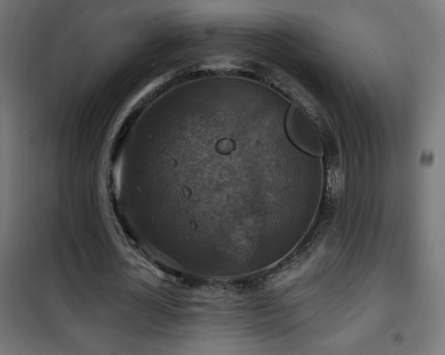X0000101450724200807071405