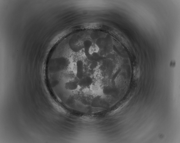 X0000101450725200807071405