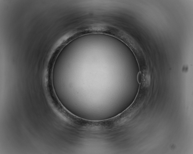 X0000101450726200807071405