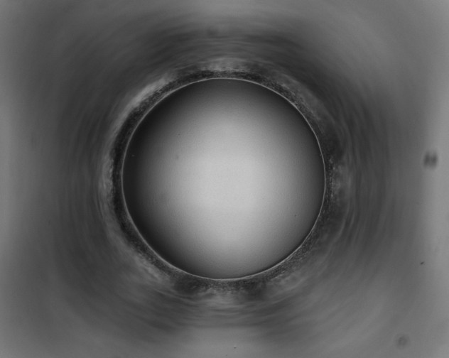 X0000101450727200807071405