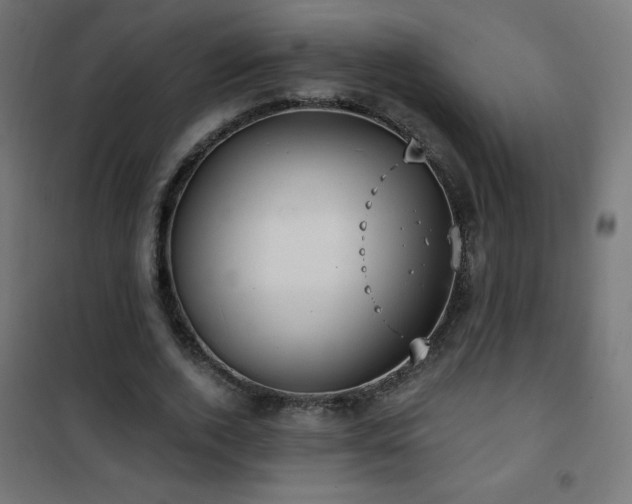 X0000101450728200807071405