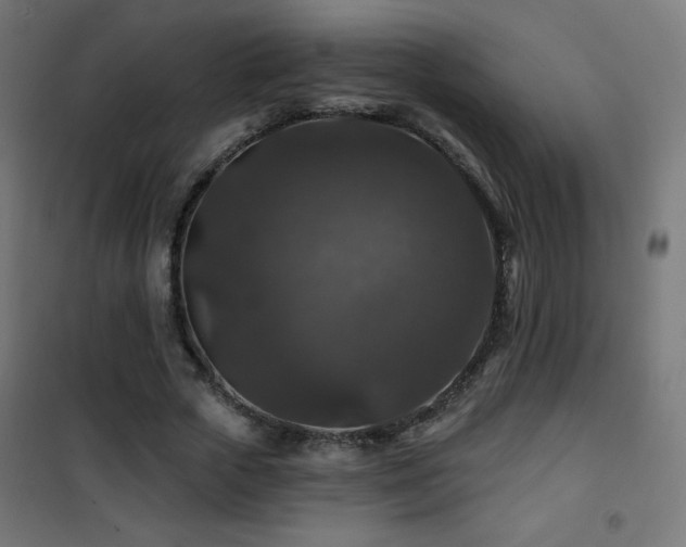 X0000101450729200807071405