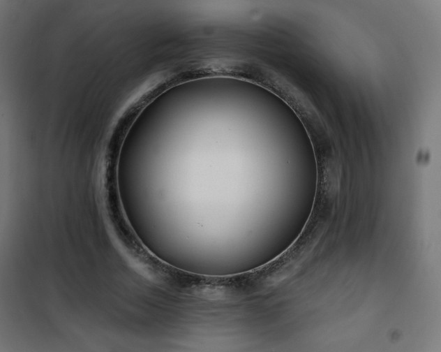 X0000101450730200807071405