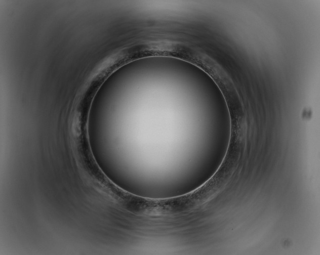 X0000101450731200807071405
