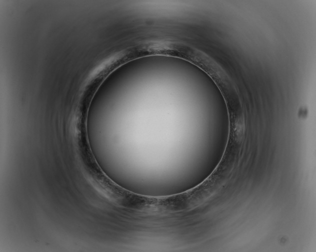 X0000101450732200807071405