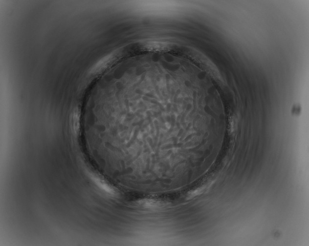 X0000101450733200807071405