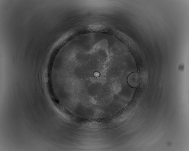 X0000101450734200807071405