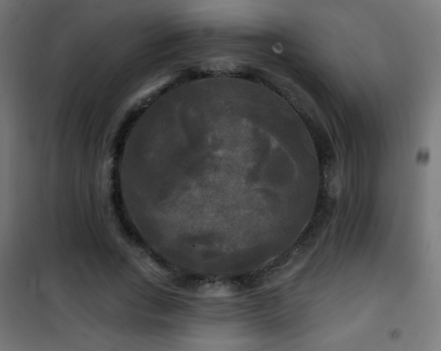 X0000101450735200807071405
