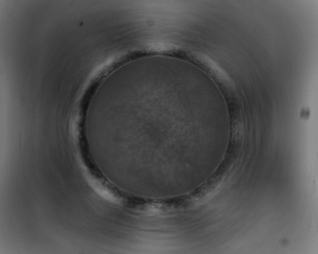 X0000101450736200807071405