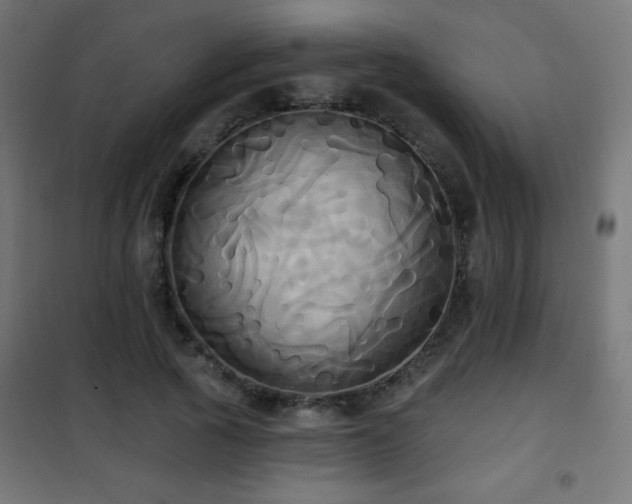 X0000101450737200807071405