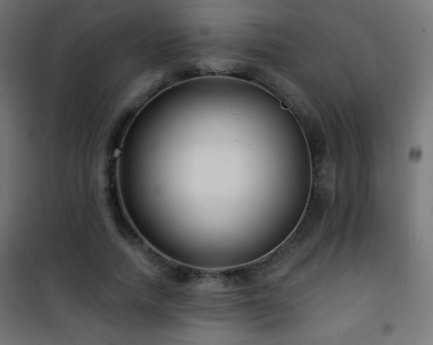 X0000101450738200807071405