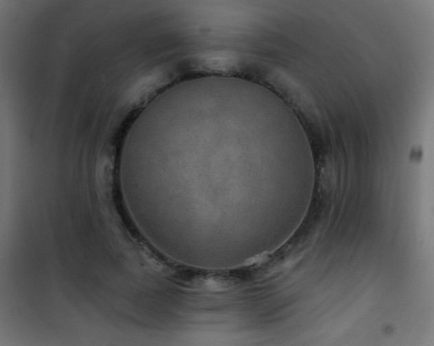 X0000101450739200807071405