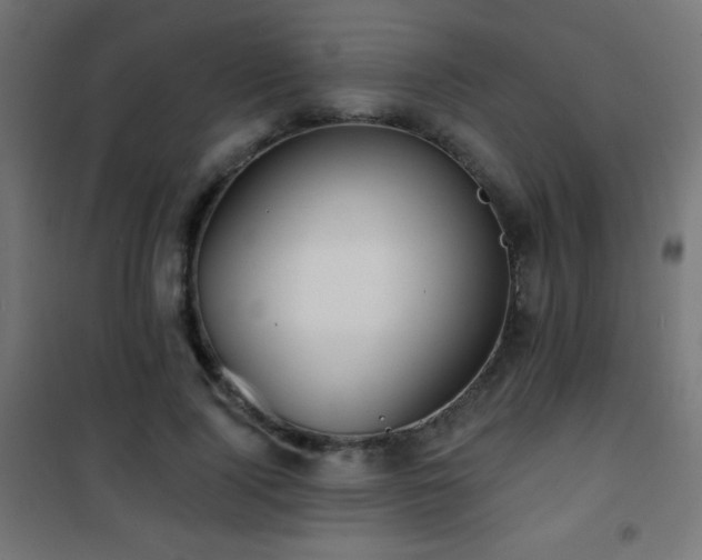 X0000101450740200807071405