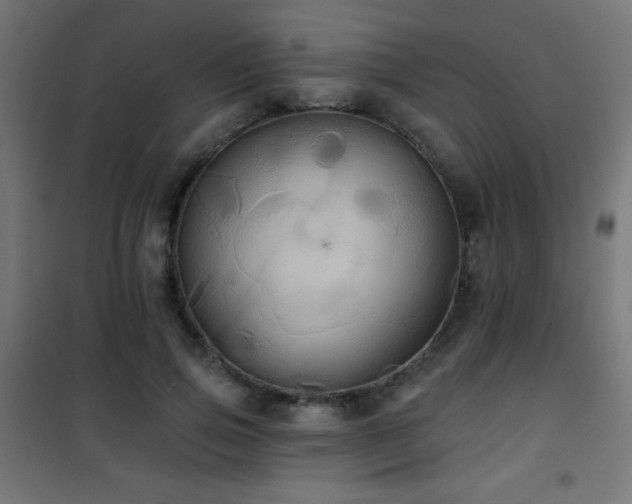 X0000101450741200807071405