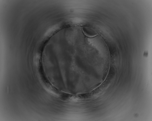 X0000101450742200807071405