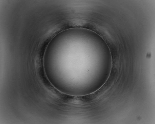 X0000101450743200807071405