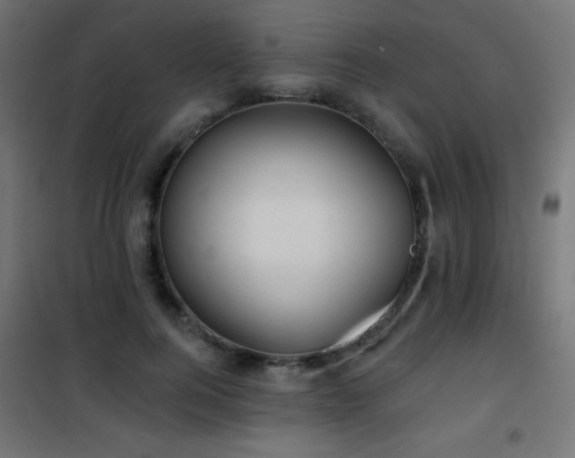 X0000101450744200807071405