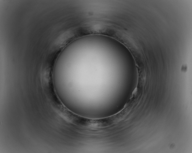 X0000101450746200807071405