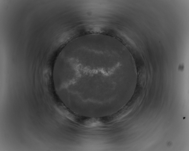 X0000101450747200807071405