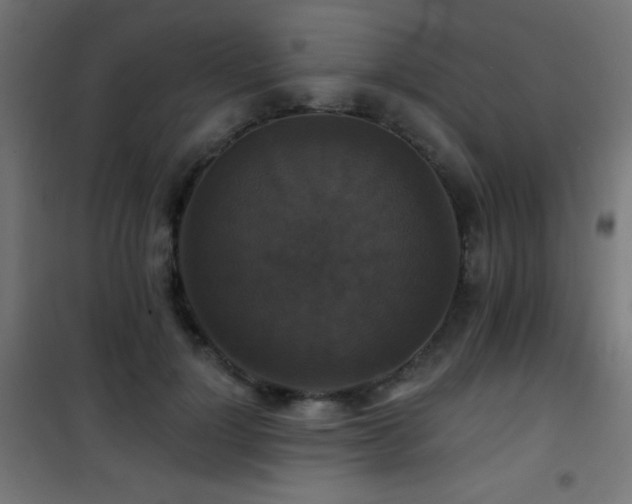 X0000101450748200807071405