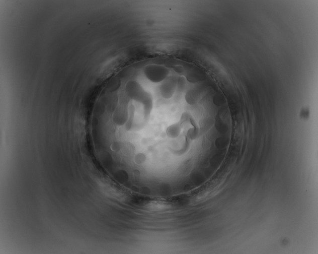 X0000101450749200807071405