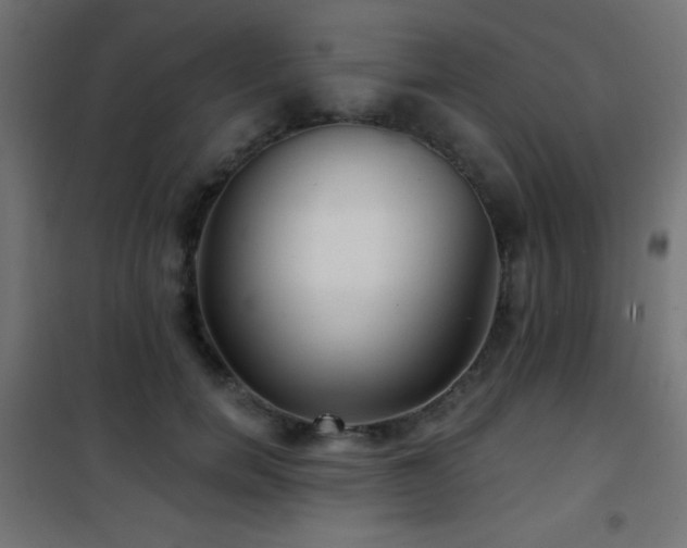 X0000101450750200807071405