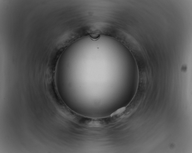X0000101450751200807071405