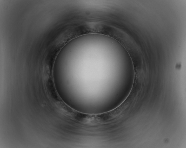 X0000101450752200807071405