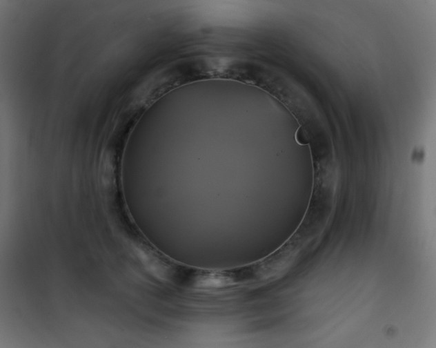 X0000101450754200807071405