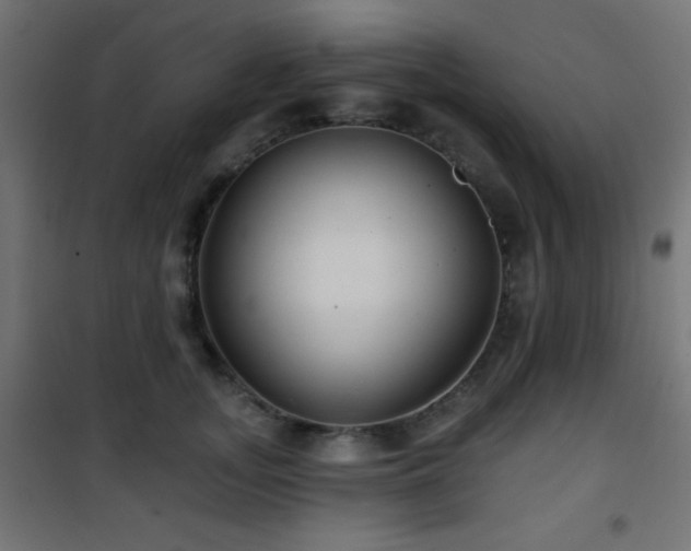 X0000101450755200807071405