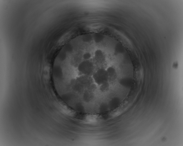 X0000101450757200807071406