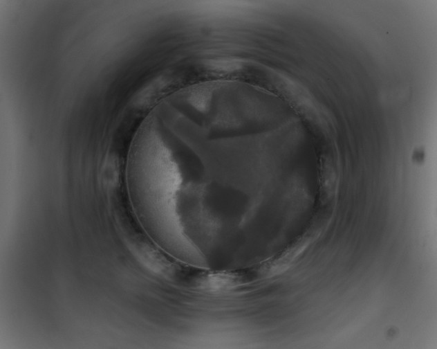 X0000101450758200807071406