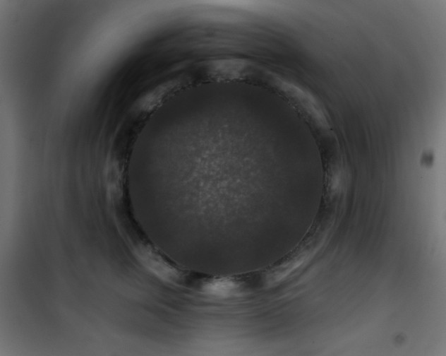 X0000101450759200807071406