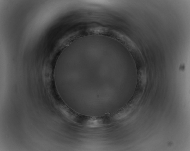 X0000101450760200807071406