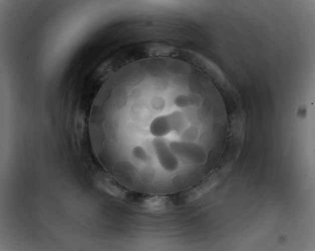 X0000101450761200807071406