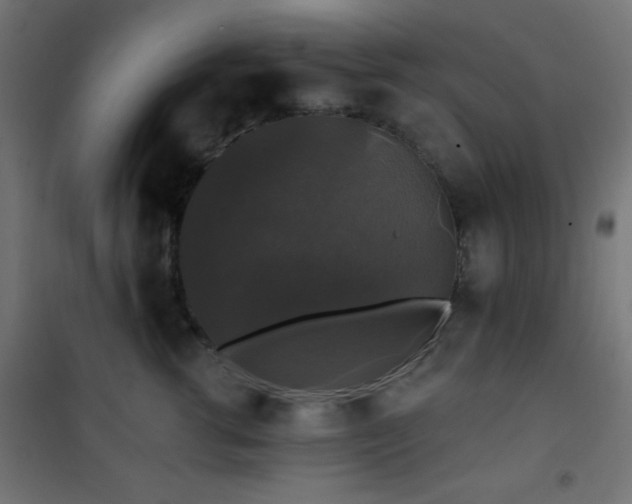X0000101450762200807071406