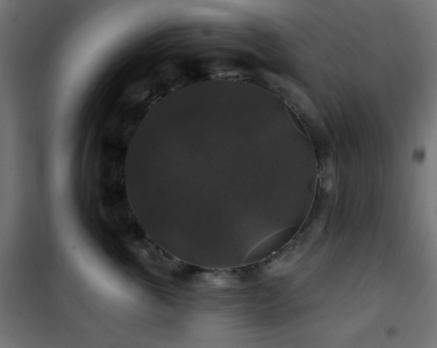X0000101450763200807071406