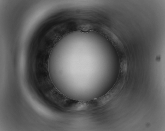 X0000101450764200807071406