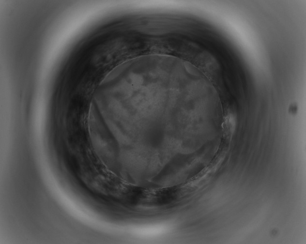 X0000101450765200807071406