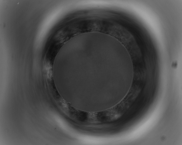 X0000101450766200807071406