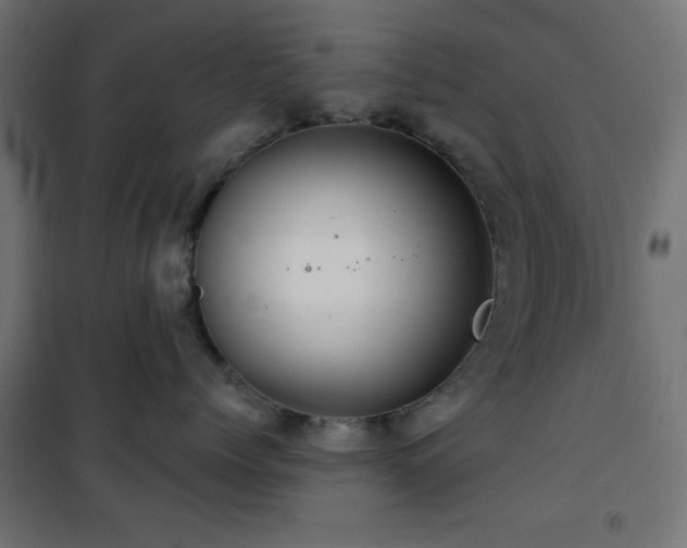 X0000101450768200807071406