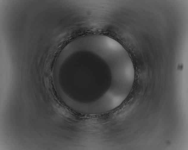 X0000101450769200807071405