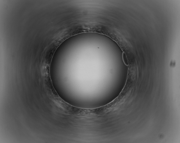 X0000101450770200807071405