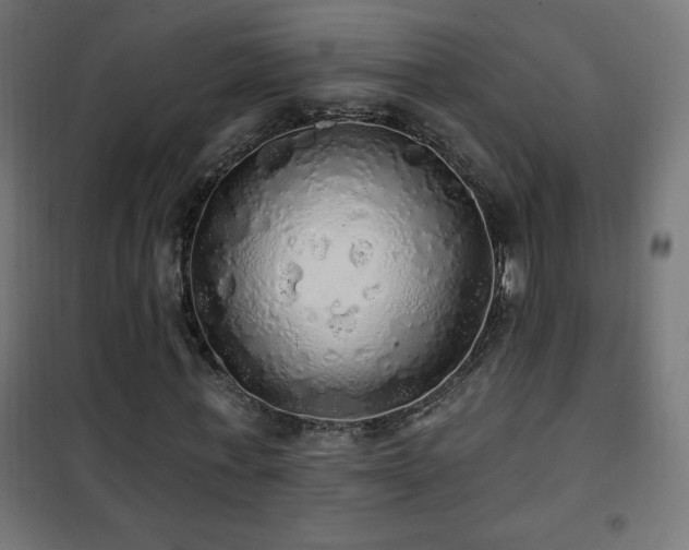 X0000101450771200807071405